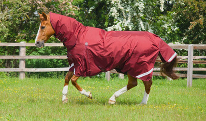 Inspiration Behind our Design - The Buster Range of Turnout Rugs